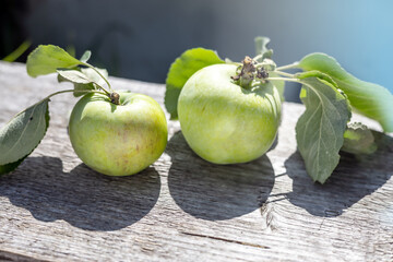 fresh ripe green apples lie on a wooden background. selective focus