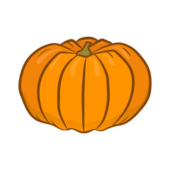 Hand drawn Pumpkin isolated on white background. Organic vegetable. Great design for any purposes. Vector illustration.