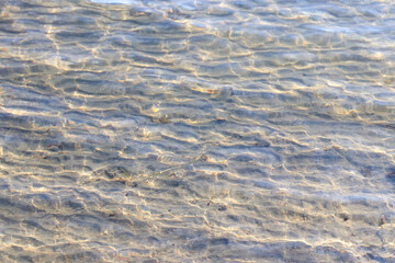 transparent clear water and the bottom of the river