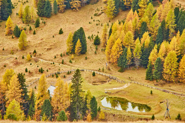 Splendid morning view from the top of Giau pass. Colorful autumn landscape in Dolomite Alps,...