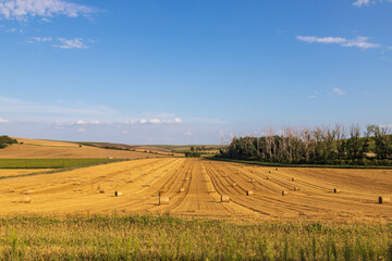 Fototapeta na wymiar Beautiful wavy landscape of Moravian Tuscany in the Czech Republic. Blue sky and clouds.