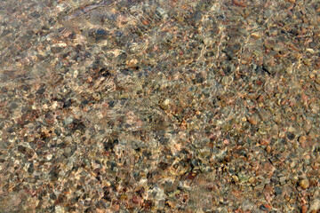 transparent clear water and the pebble bottom of the river