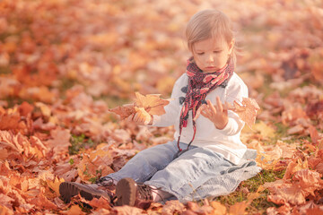 Baby child is playing with leaves in autumn park