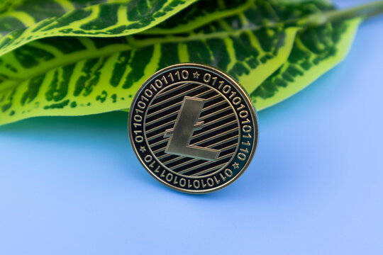 litecoin financial still life with fresh green leaves on a blue background in a digital or virtual cryptocurrency investment concept