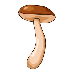 Boletus Mushroom Illustration. Line art edible fungus icon for logo, emblem, prints, stickers, coloring worksheets, menu design and decoration