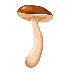Flat Style Boletus Illustration. Edible mushrooms icon for logo, emblem, prints, stickers, menu design and decoration