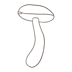 Linear Boletus Icon. Outline edible mushroom illustration for logo, emblem, prints, stickers, coloring worksheets, menu design and decoration