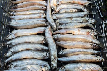 Capelin fish on grill , close-up