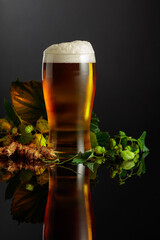 Beer, hops, and barley on a black background.
