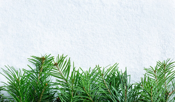 Spruce branches lie in the snow. Christmas concept, winter © Nizoli