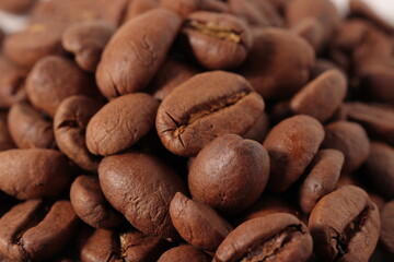 coffee beans background