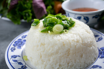 A view of a mold of white rice, garnished with scallions.