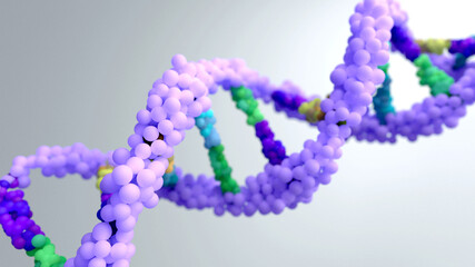 DNA composed of two chains that form a double helix. DNA is a molecule inside cells contains genetic information responsible for the development and function of an organism. 