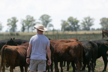 criadores mirando sus vacas