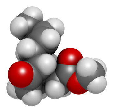 Methyl jasmonate plant stress signal molecule. 3D rendering.