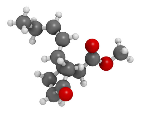 Methyl jasmonate plant stress signal molecule. 3D rendering.