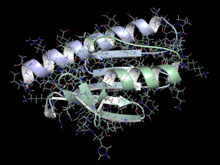 Frataxin (human) mitochondrial protein. Reduced expression causes Friedreich's ataxia. 3D render.