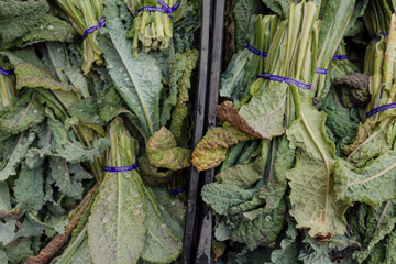 Bunch of kale at farmers market - Powered by Adobe