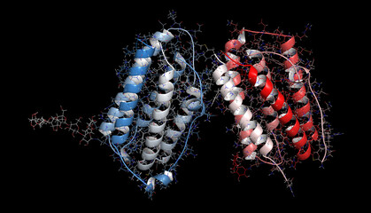 Interferon beta protein. 3D Illustration.