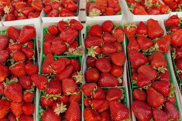 Strawberries at the farmers market