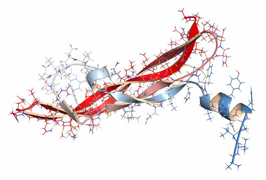 Vascular endothelial growth factor A (VEGF A) protein, 3D illustration
