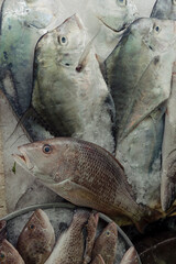 Fresh fish on ice at a wet market