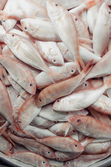 Fresh fish at a wet market