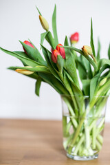 Tulpen