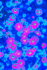 Bright pink neon colored summer flowers in abstract style on dark blue background. Night club party Poster, Rave festival or disco dance flyer design template. Vaporwave modern floral pattern