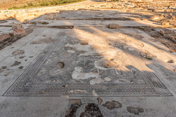 Mosaic floor of the large public building used as a market at Tzipori National Park in Israel.
