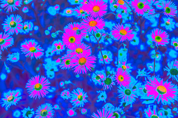 Bright pink neon colored summer flowers in abstract style on dark blue background. Night club party Poster, Rave festival or disco dance flyer design template. Vaporwave modern floral pattern