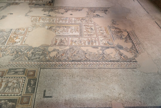 The Dionysus House mosaic floor at Tzipori National Park in Israel.
