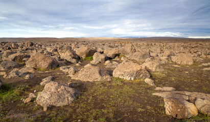 Fototapeta na wymiar A stony plain, thickets of orange moss and mountains on the horizon. Iceland. l