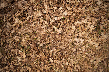 texture background