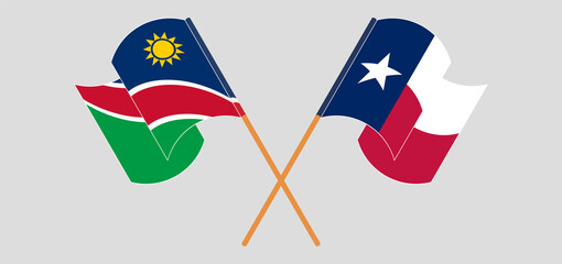 Crossed and waving flags of Namibia and the State of Texas