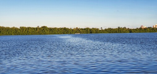 landscape with lake