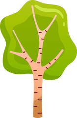 Vector Illustration In Cartoon Style With Gradients. Stylized Tree On White Background. Birch With Light Trunk And Green Leaves Mass