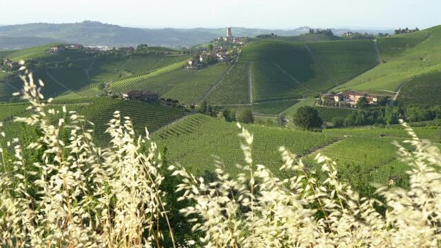 Beautiful hills and vineyards surrounding Barbaresco village in the Langhe region. Cuneo, Piedmont, Italy.