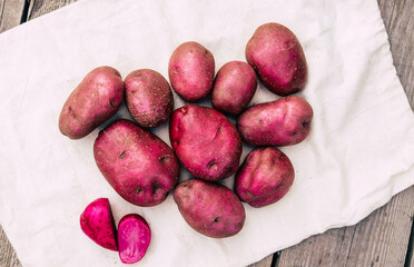 red organic potato close-up selective focus, potato harvest