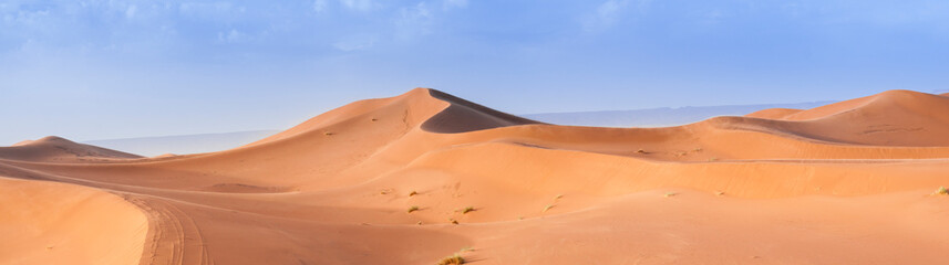 Fototapeta na wymiar Sand Dune in the Sahara / In the Sahara Desert, sand dunes to the horizon, Morocco, Africa.