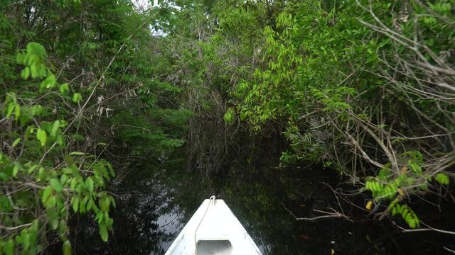 Boat sailing in river over forest trees vegetation during the greatest flood in history in the amazon rainforest. Amazonas, Brazil. Concept of environment, ecology, climate change, global warming. 4K