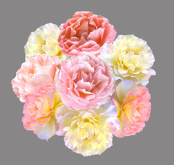 Bouquet of roses isolated on a gray background