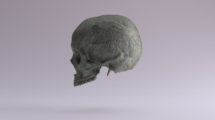 Old Bronze Human Female Skull Medical Anatomical Oxidised Patina Left Side 3d illustration render