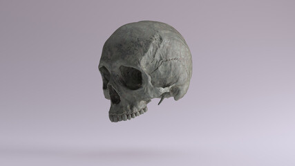 Fototapeta premium Old Bronze Human Female Skull Medical Anatomical Oxidised Patina Quarter Left Side 3d illustration render