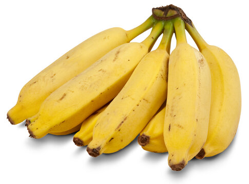 Cacho de bananas em fundo branco isolado