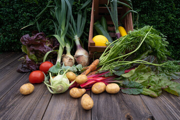 Gemüseanbau - frisch geerntetes heimisches Gartengemüse dekorativ auf einem Holztisch arrangiert.