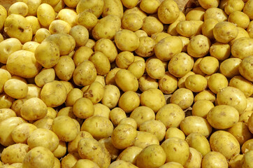 Clean new potatoes in a market to be sold for customers