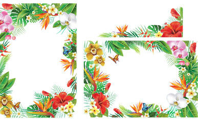 Set with Frames and Border with tropical plants and flowers - obrazy, fototapety, plakaty