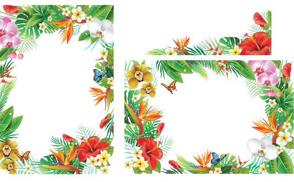 Fototapeta Set with Frames and Border with tropical plants and flowers
