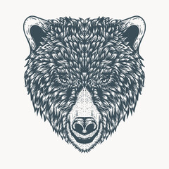 Hand drawn bear head illustration Premium Vector
